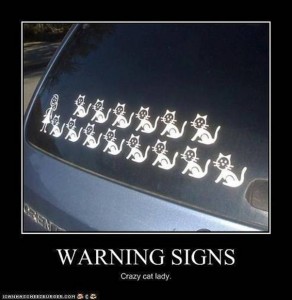 warning-signs-crazy-cat-lady-292x300
