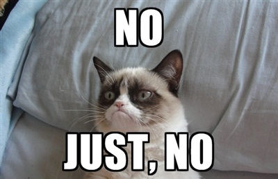 Image result for grumpy cat saying NO